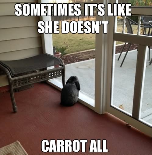 Sometimes It's Like She Doesn't Carrot All Funny Rabbit Meme Picture