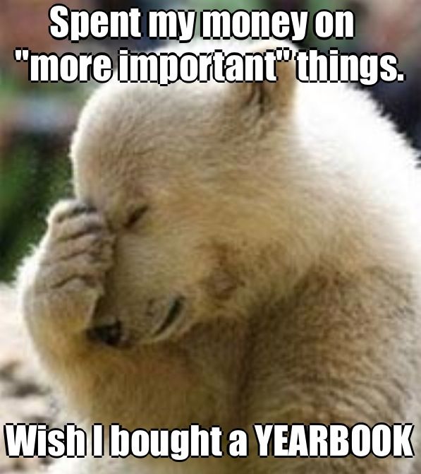 Spent My Money On More Important Things Funny Bear Meme Picture