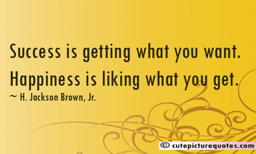 Success is getting what you want. Happiness is wanting what you get. - H. Jackson Brown, Jr