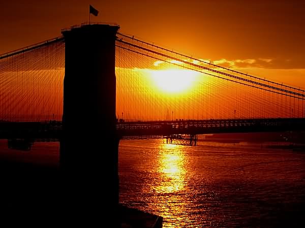 Sunset View Of Brooklyn Bridge Silhouette Image
