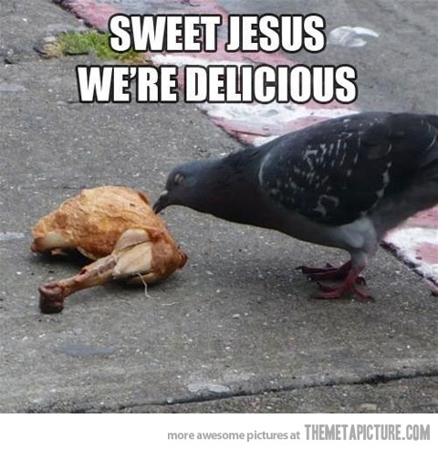 Sweet Jesus We Are Delicious Funny Chicken Meme Picture For Whatsapp