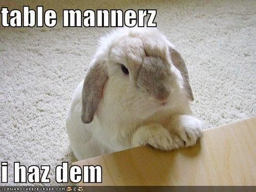 Table Mannerz I Has Dem Funny Rabbit Meme Picture