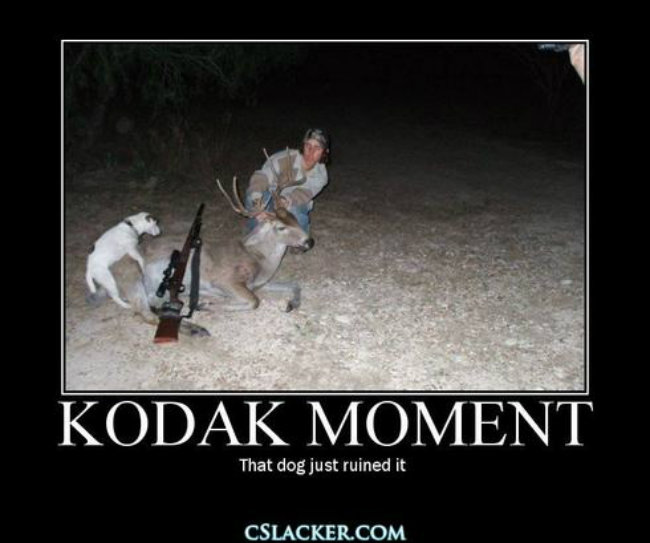 That Dog Just Ruined It Funny Hunting Meme Image