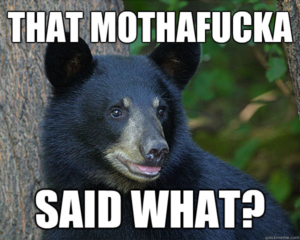 That-Mothafucka-Said-What-Funny-Bear-Meme-Image.jpg