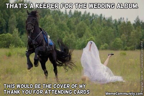 That's A Keeper For The wedding Album Funny Horse Meme Image