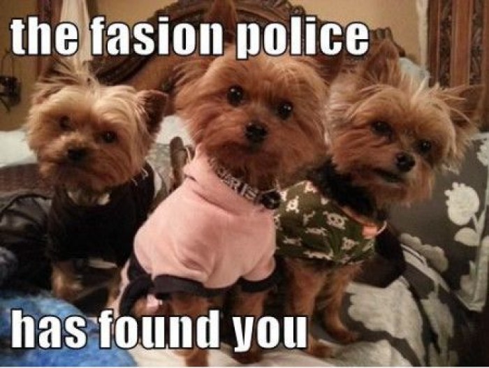 The Fashion Police Has Found You Funny Meme Picture