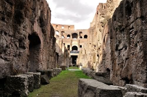 The Hypogeum Inside Colosseum, Rome  Picture