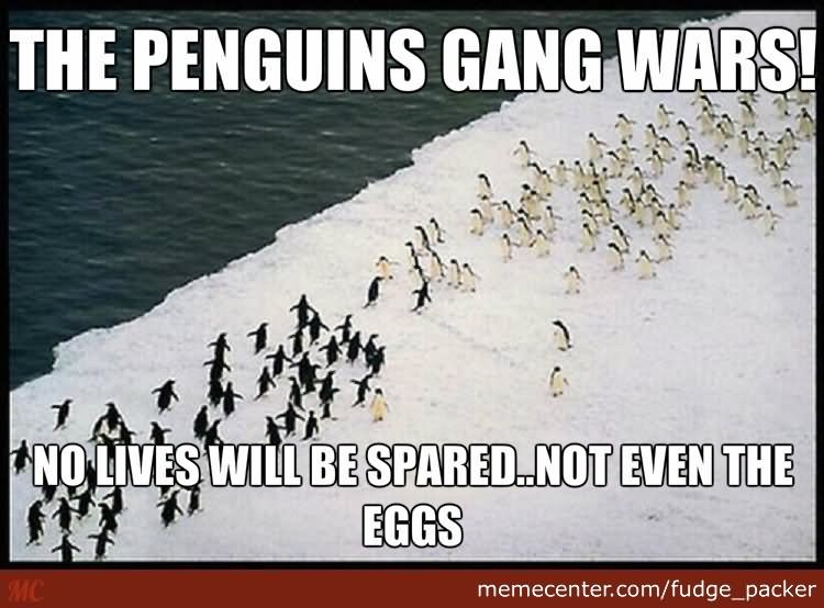 The Penguins Gang Wars Funny War Meme Image