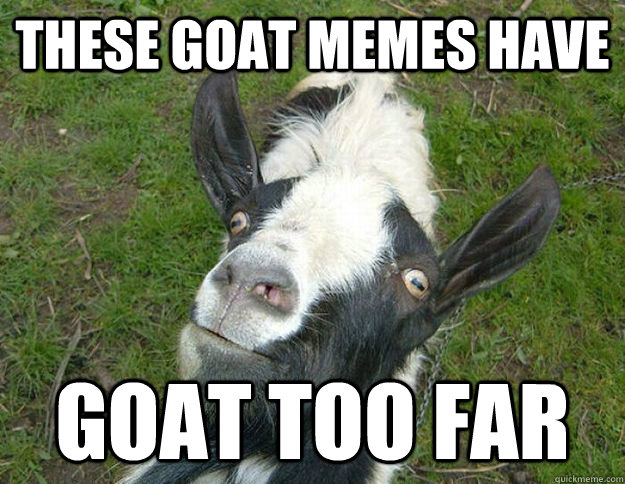 These Goat Meme Have Goat Too Far Funny Goat Meme Picture
