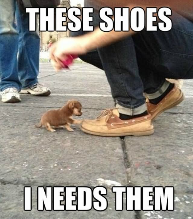 These Shoes I Needs Them Funny Fashion Meme Picture For Whatsapp