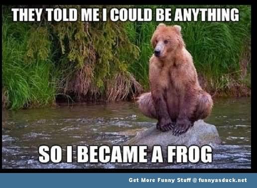 They Told Me I Could Be Anything So I Became A Frog Funny Bear Meme Image