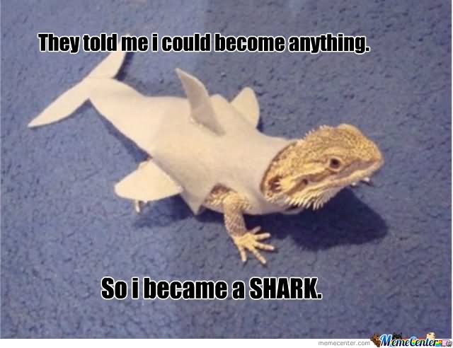 They Told Me I Could Become Anything So I Became A Shark Funny Meme Image