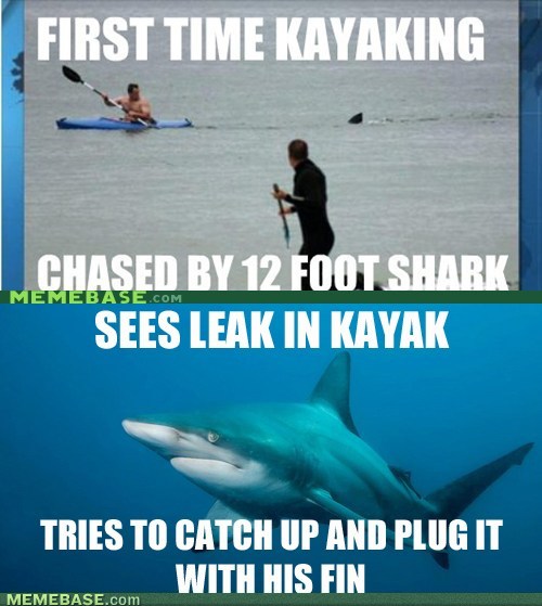 Tries To Catch Up And Plug It With His Fin Funny Shark Meme Image