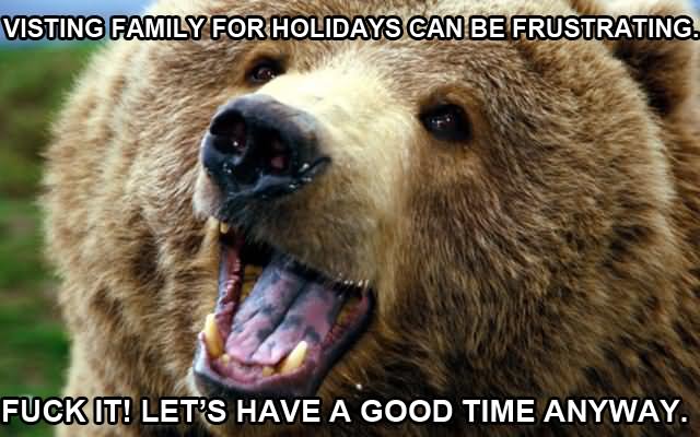 Visiting Family For Holidays Can Be Frustrating Funny Bear Meme Image