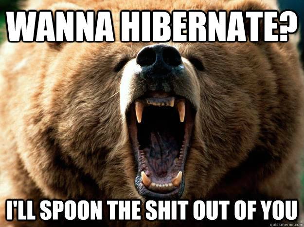 Wanna Hibernate I Will Spoon The Shit Out Of You Funny Bear Meme Image