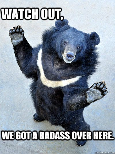 Watch Out We Got A Badass Over Here Funny Bear Meme Picture