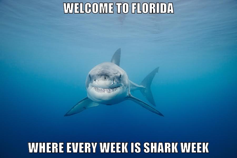 Welcome To Florida Where Every Week Is Shark Funny Meme Image
