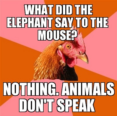 What Did The Elephant Say To The Mouse Funny Chicken Meme Picture