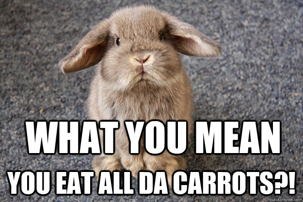 What You Mean Funny Rabbit Meme Image