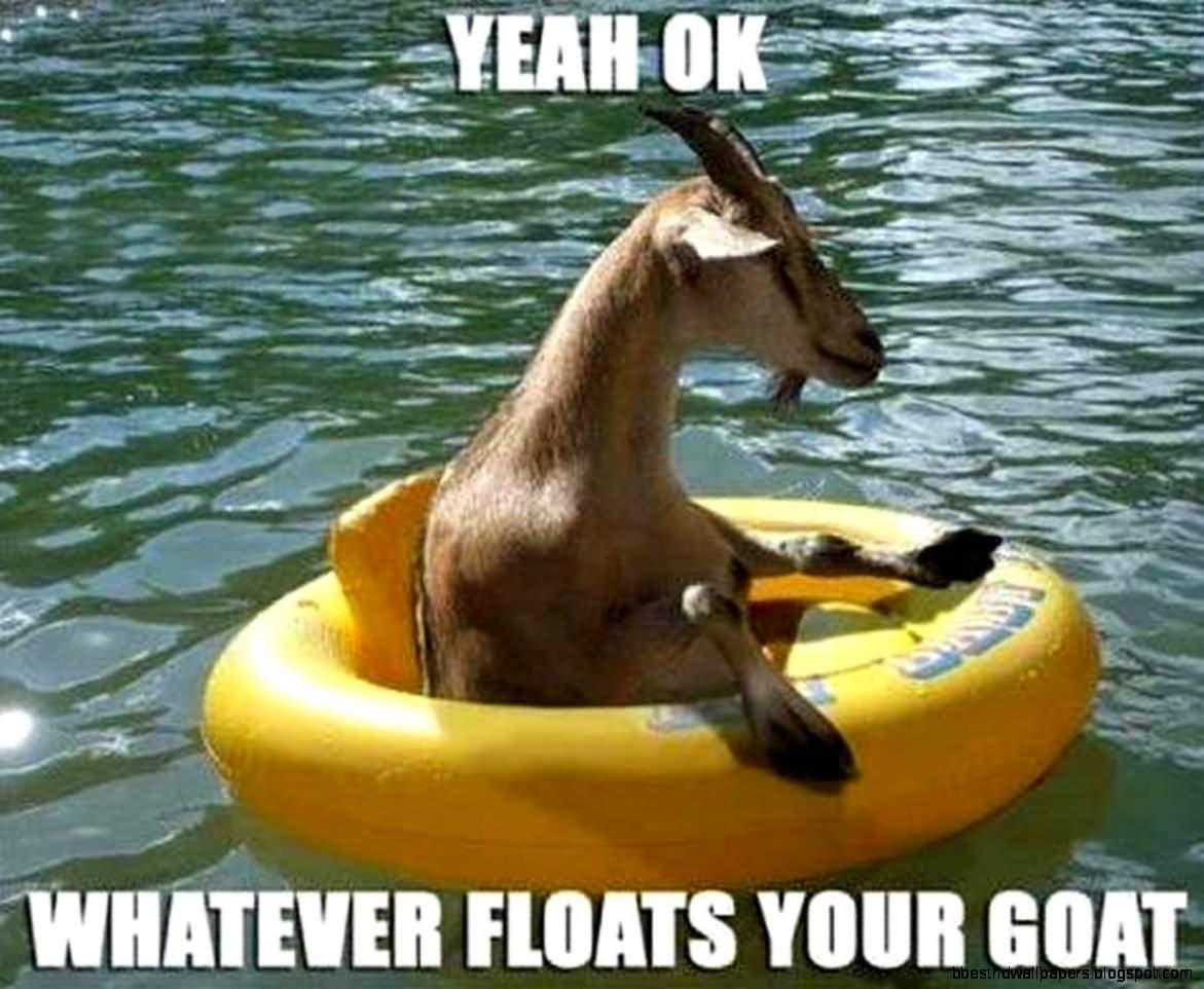 Whatever Floats Your Goat Funny Meme Image
