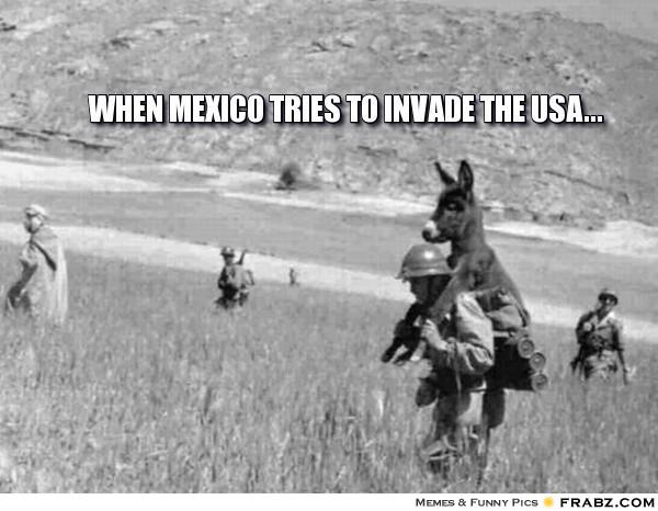 When Mexico Tries To Invade The Usa Funny Donkey Meme Picture