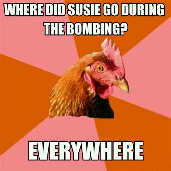 Where Did Susie Go During The Bombing Funny Chicken Meme Picture