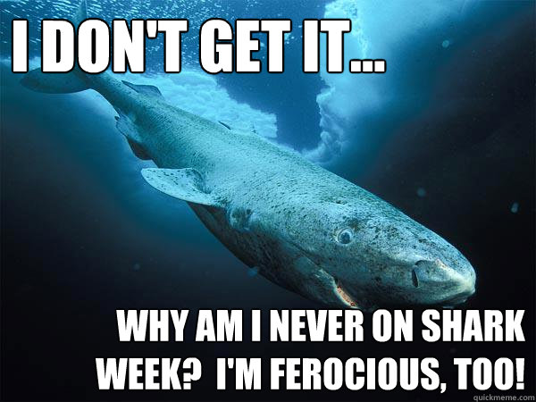 Why Am I Never On Shark Week I Am Ferocious Too Funny Shark Meme Image