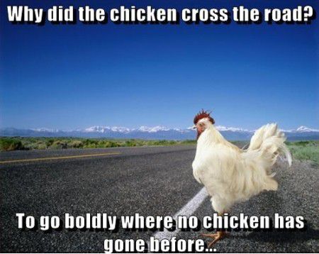 Why Did The Chicken Cross The Road Funny Chicken Meme Picture