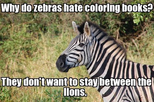 Why Do Zebras Hate Coloring Books Funny Zebra Meme Image