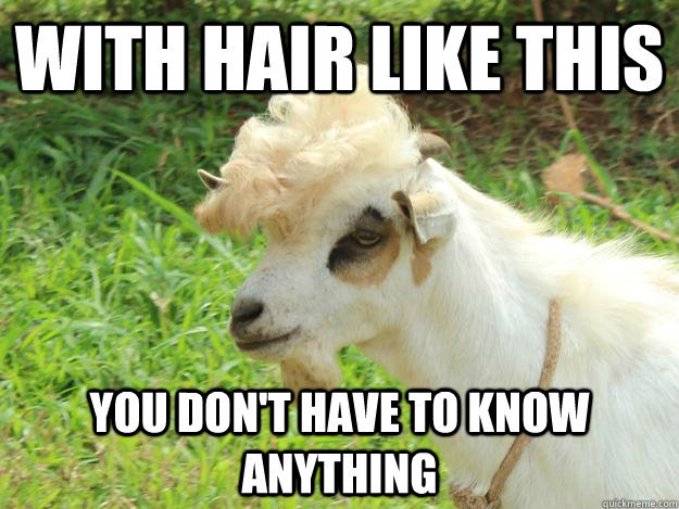 With Hair Like This Funny Goat Meme Picture