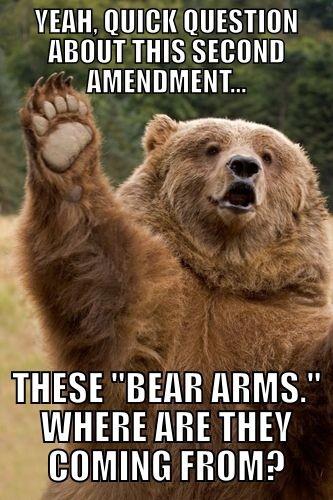 Yeah Quick Question About This Second Amendment Funny Bear Meme Image