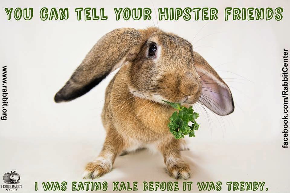 You Can Tell Your Hipster Friends Funny Rabbit Meme Image