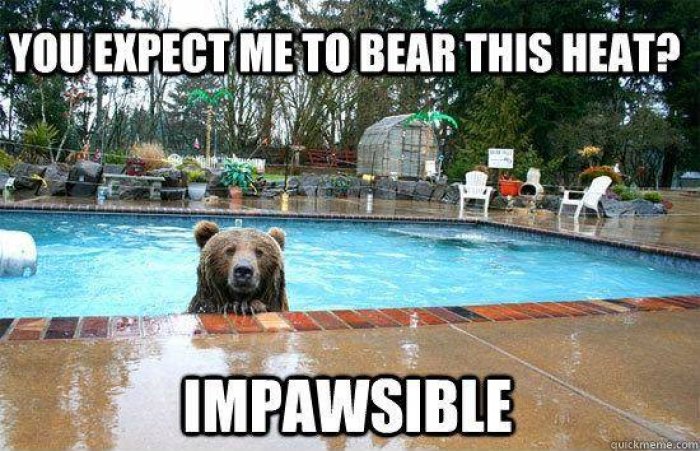 You Expect Me To Bear This Heat Funny Meme Picture