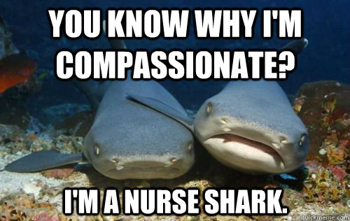 You Know Why I Am Compassionate Funny Shark Meme Picture