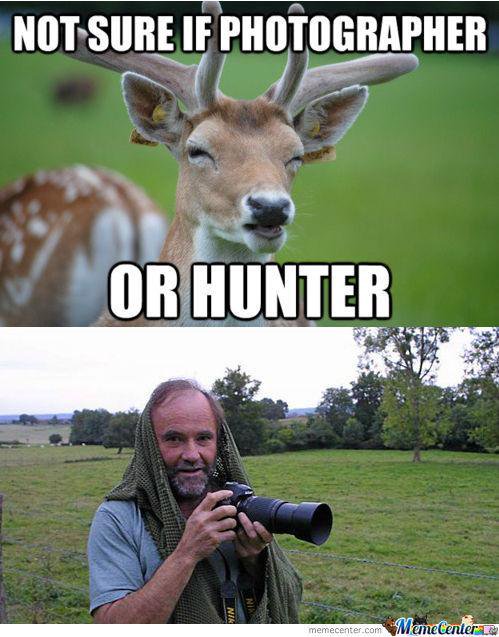 Not Sure If Photographer Or Hunter Funny Meme Image