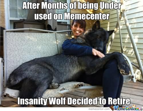 After Months Of Being Under On Memecenter Funny Wolf Meme Picture