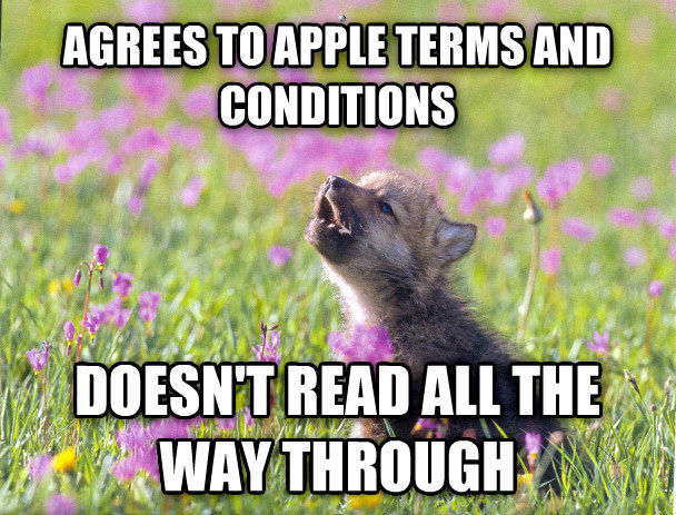 Agrees To Apple Terms And Conditions Funny Wolf Meme Image