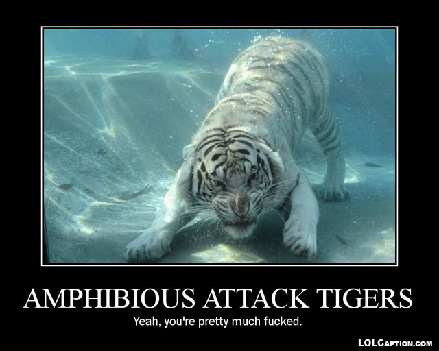 Amphibious Attack Tigers Funny Meme Poster