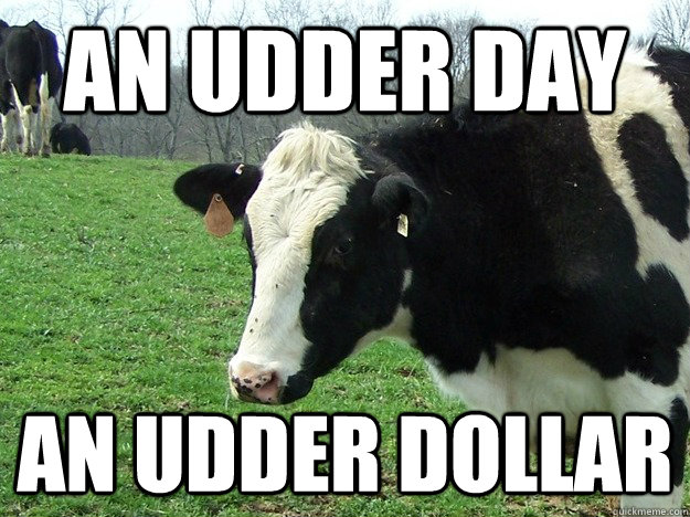 An Udder Day An Udder Dollar Funny Cow Meme Picture