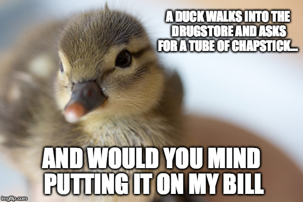 And Would You Mind Putting It On My Bill Funny Duck Meme Picture