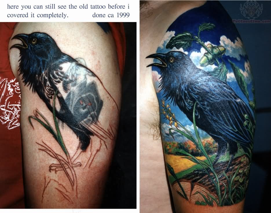 Beautiful Coverup Raven Tattoo  On Half Sleeve