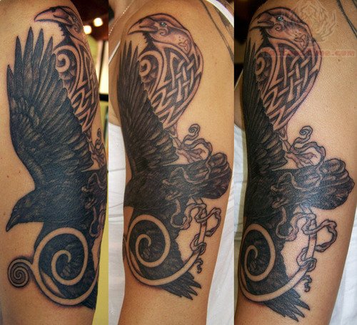 Black And Grey Flying Celtic Raven Tattoo On Sleeve