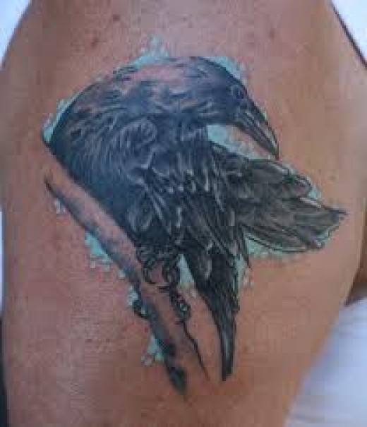 Black Ink Right Shoulder Norse Raven Tattoo