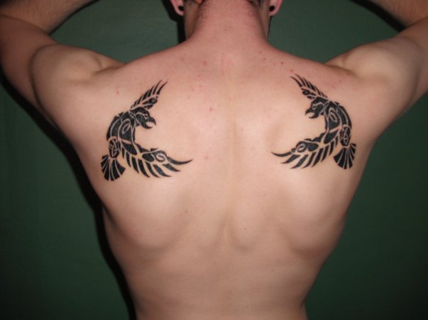 Black Tribal Flying Hugin And Munin Tattoos On Back Shoulder