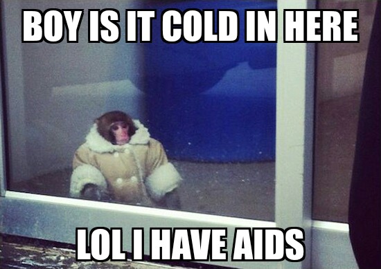 Boy It Cold In Here Lol I Have Aids Funny Monkey Meme Picture