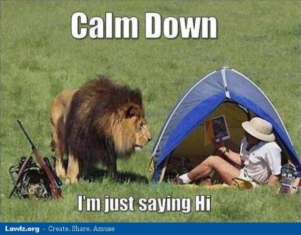 Calm Down I Am Just Saying Hi Funny Lion Meme Picture