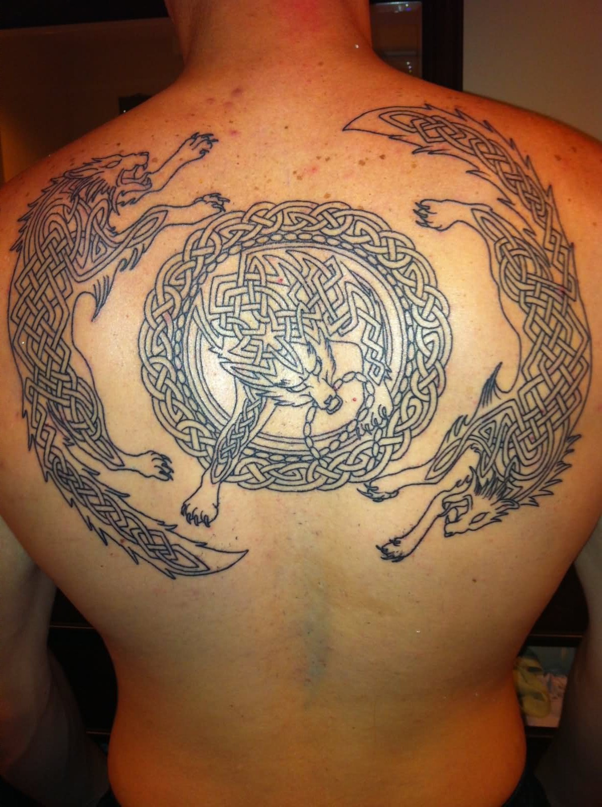 Celtic Fenrir Tattoo On Man Upper Back