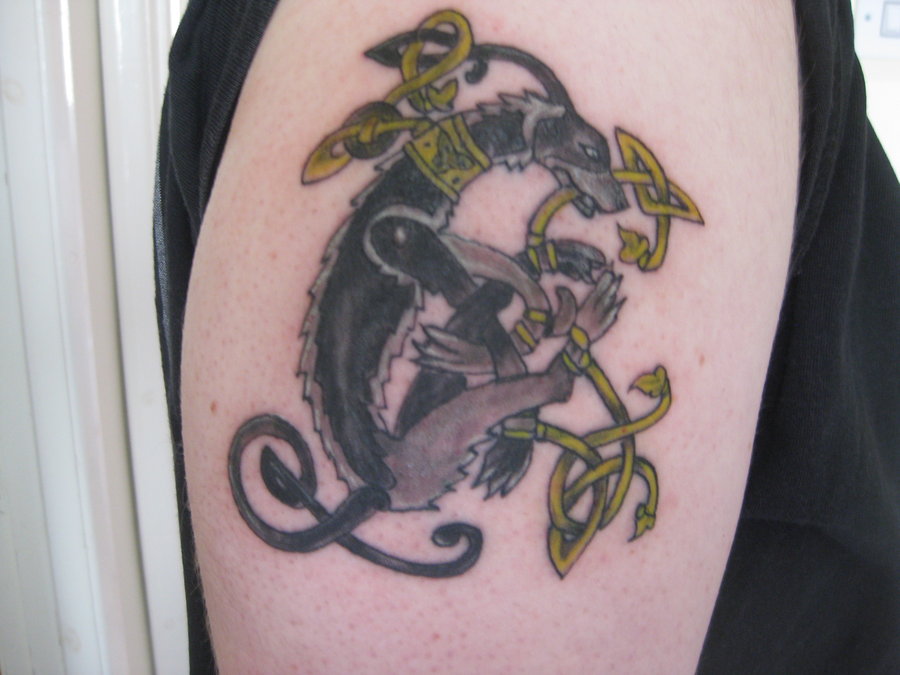 Celtic Fenrir Tattoo On Right Shoulder by Osirisalmighty