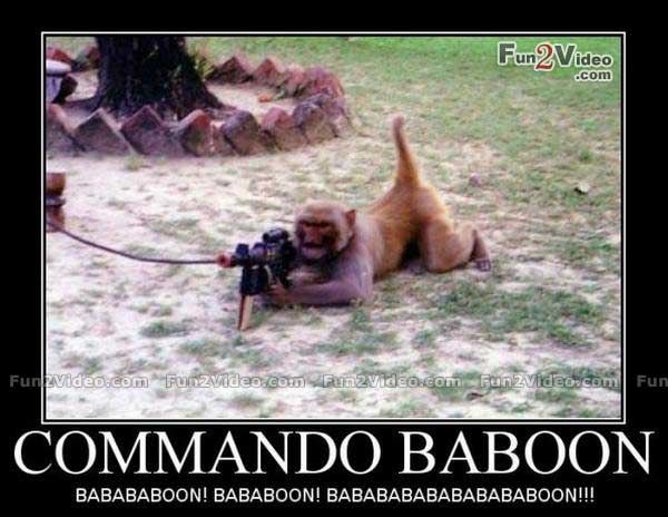 Commando Baboon Funny Monkey Meme Poster For Whatsapp