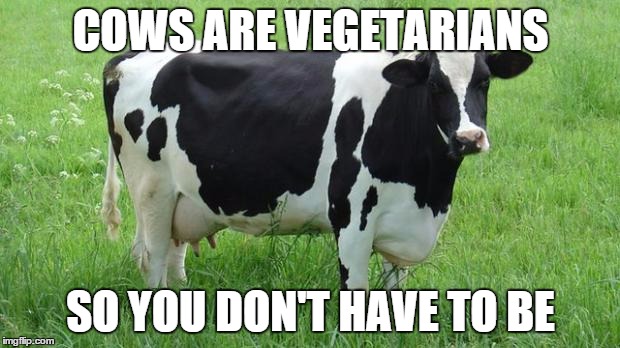 Cows Are Vegetarians so You Don’t Have To Be Funny Meme Image